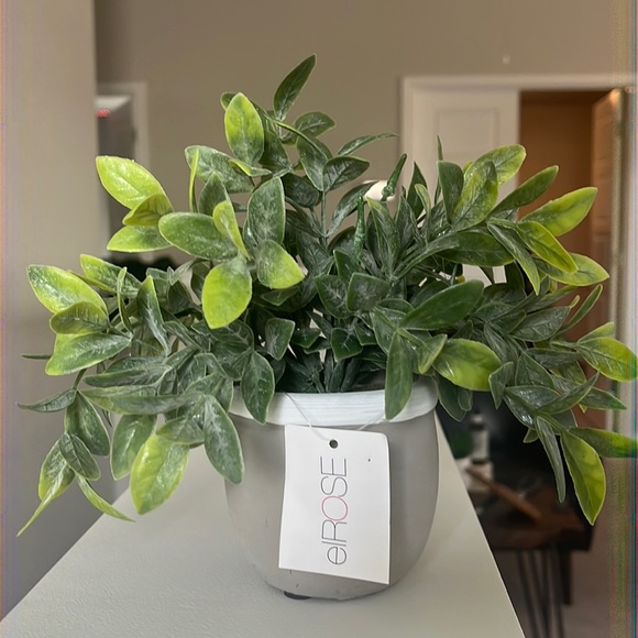 powder tea leaf in grey with upper white dip cement pot - Picture 1 of 2